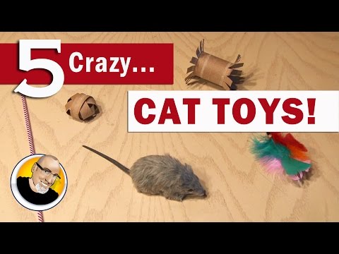 Cat Toy - Toilet Paper Roll