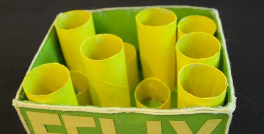 Cat Toy - Toilet Paper Roll