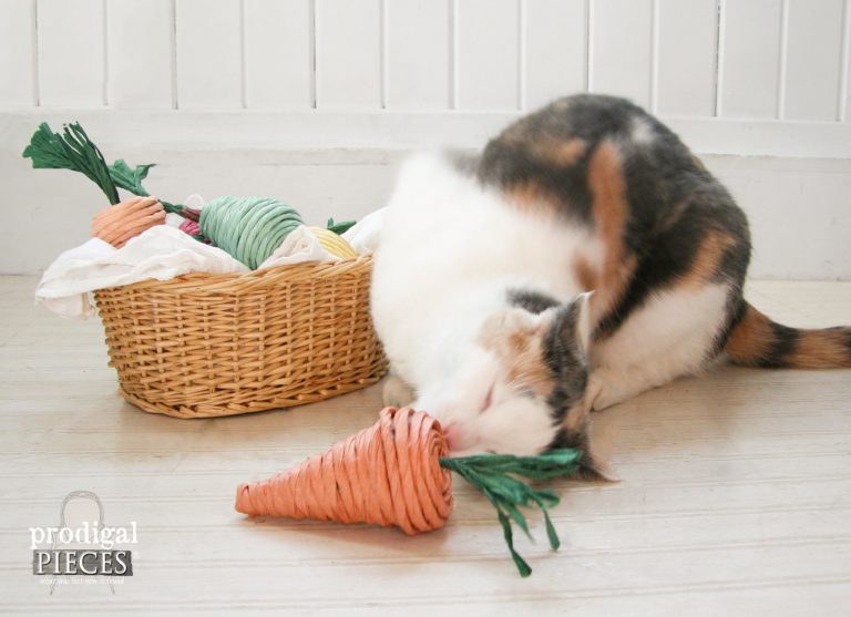 Cat Toy - Toilet Paper Roll