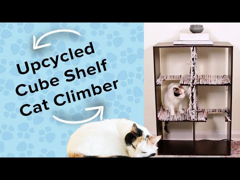 Cat Tree - Shelf