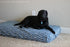 Dog Bed - Crib Mattress