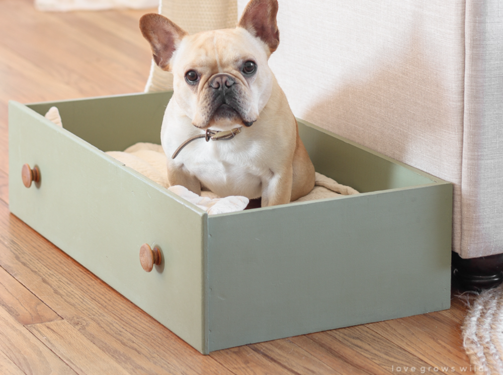 Dog Bed - Drawer