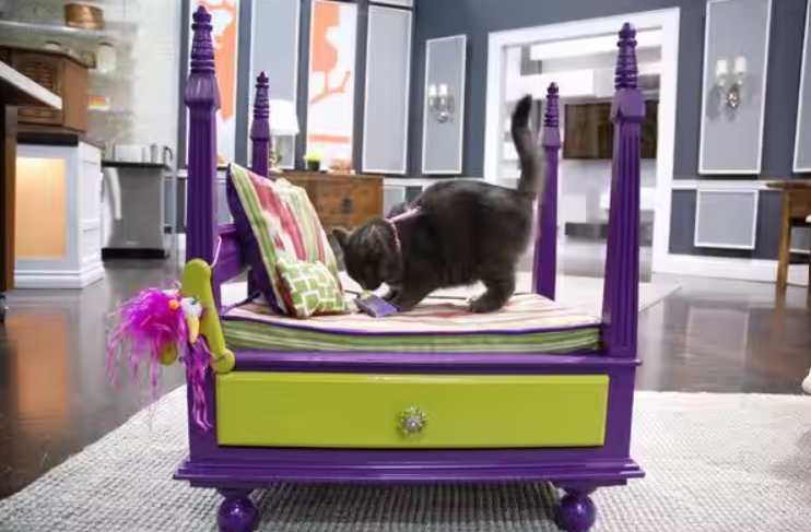Dog Bed - Leg Side Table