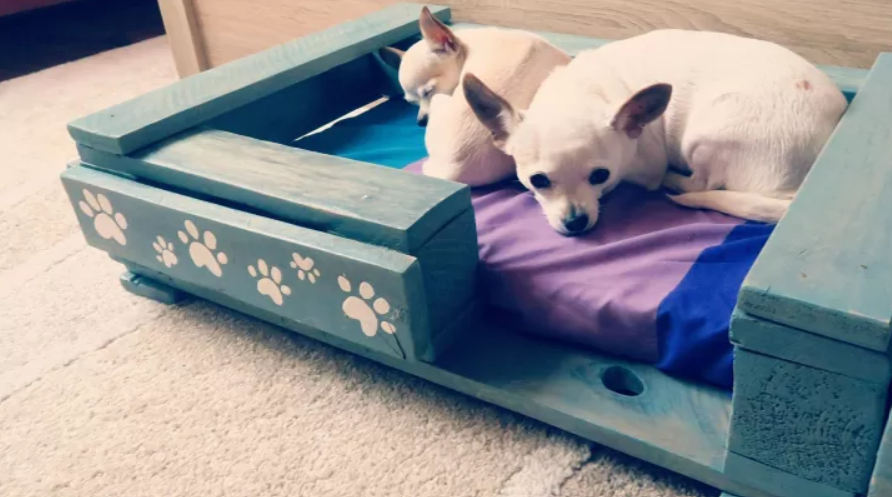 Dog Bed - Pallet