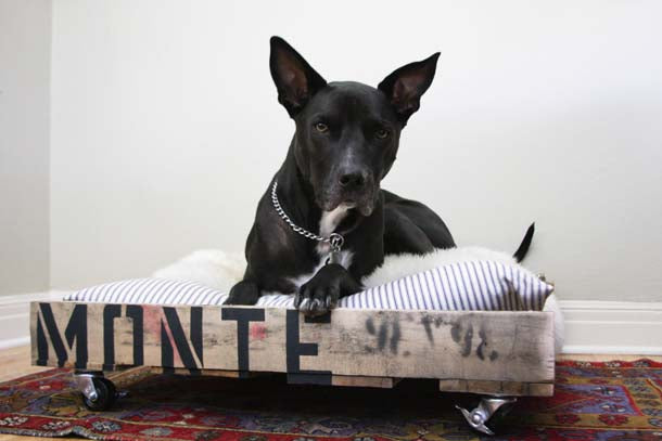 Dog Bed - Pallet