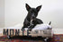 Dog Bed - Pallet