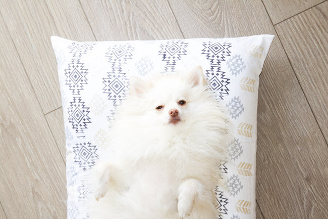 Dog Bed - Pillow