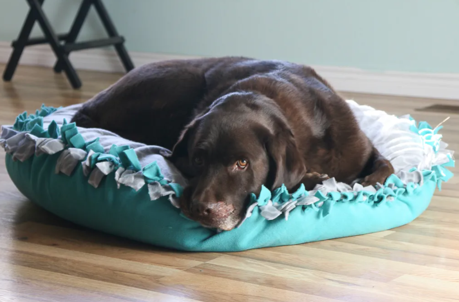 Dog Bed - Pillow