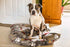 Dog Bed - Pillow
