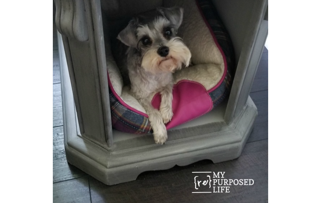 Dog Bed - Side Table