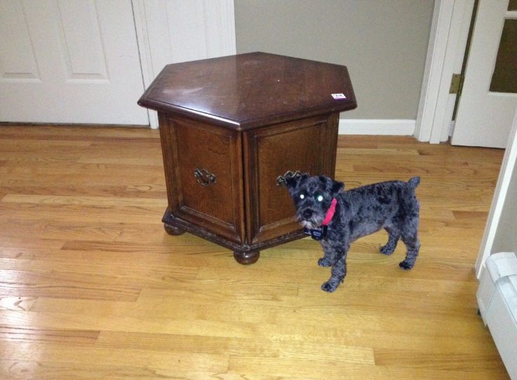 Dog Bed - Side Table
