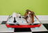 Dog Bed - Suitcase