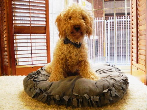 Dog Bed - T Shirt