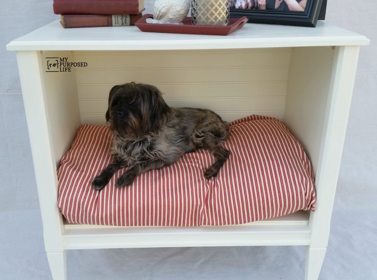 Dog Bed - TV Stand