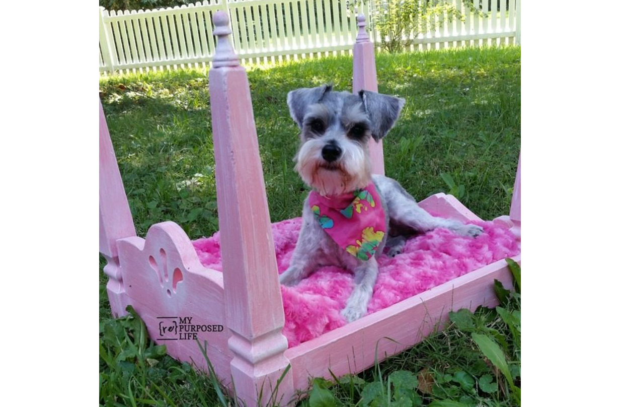 Dog Bed - Table Leg
