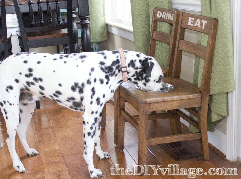 Dog Bowl - Chair