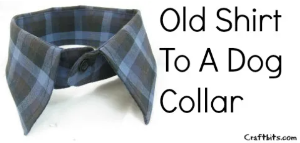 Dog Collar - T Shirt