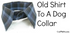 Dog Collar - T Shirt