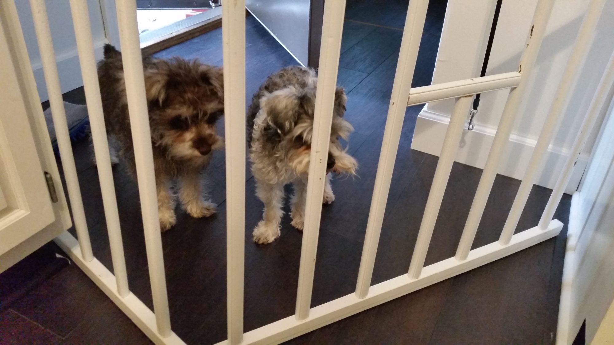 Dog Gate - Crib