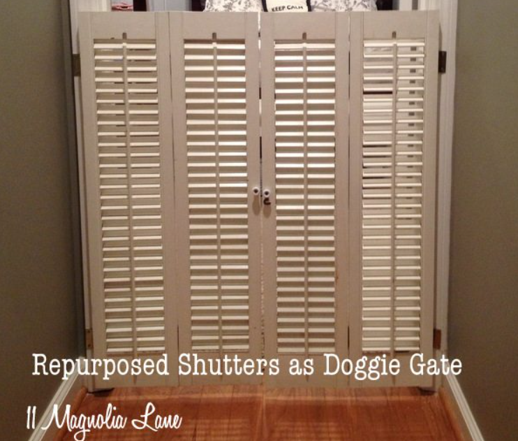 Dog Gate - Shutter