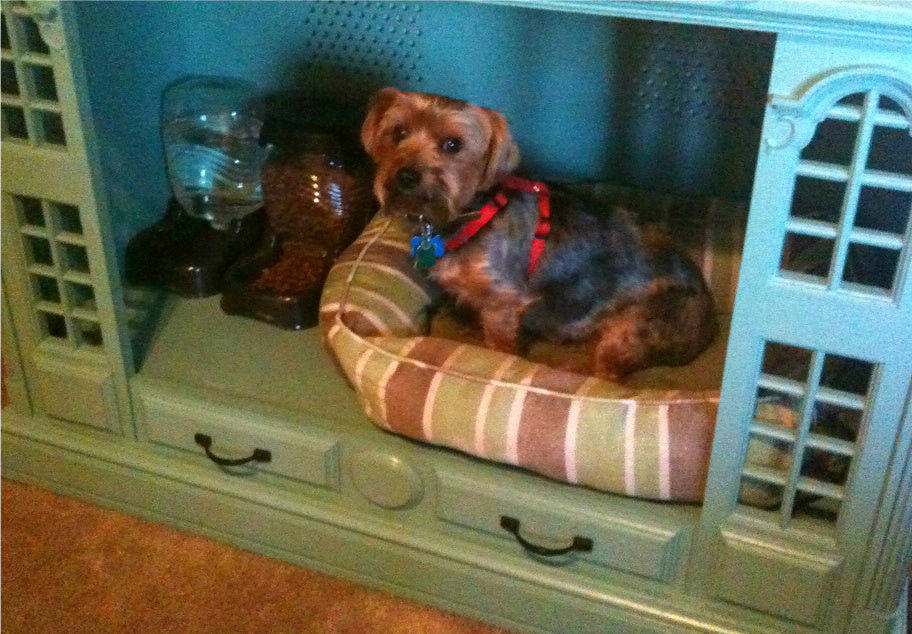 Dog House - Console