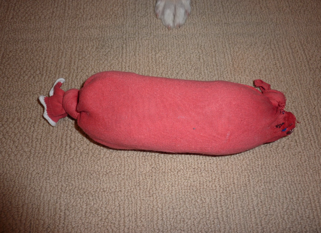 Dog Toy - Plastic Bottle