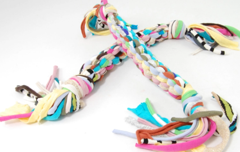 Dog Toy - T Shirt