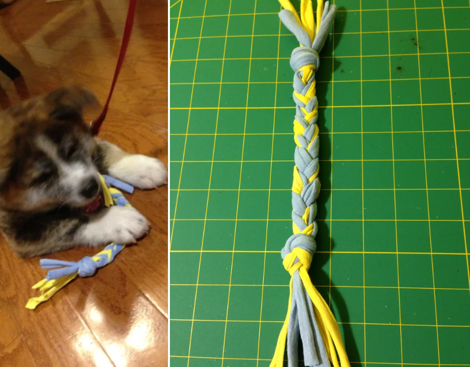 Dog Toy - T Shirt
