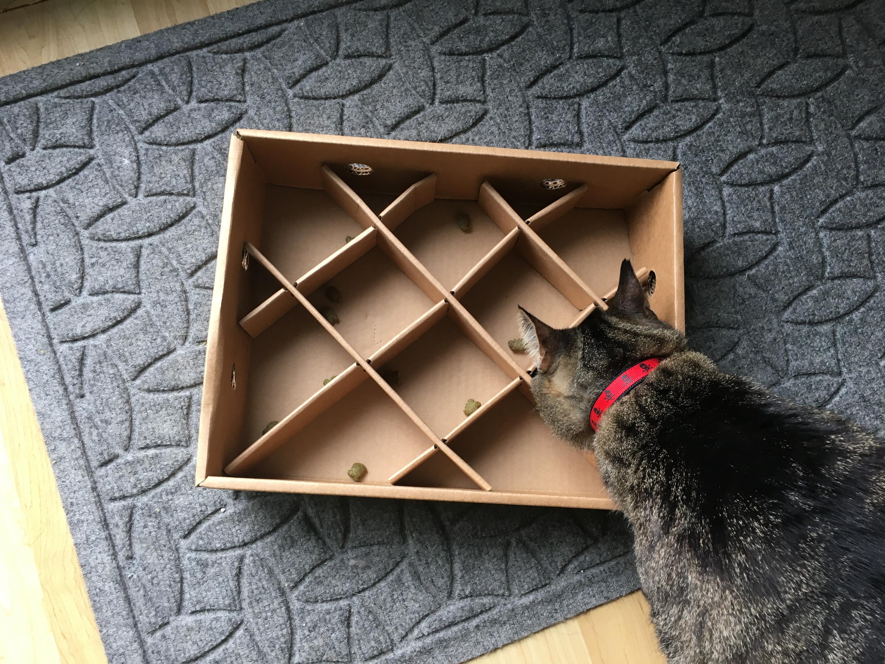 Food Puzzle for Cat - Cardboard