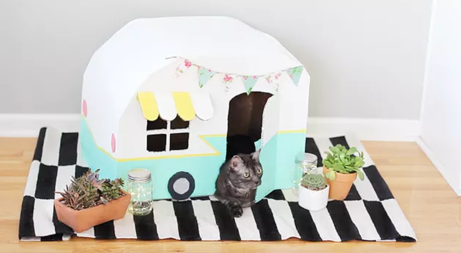 Kitty Camper - Cardboard