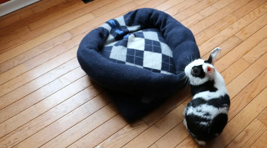 Pet Bed - Sweater