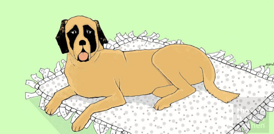 Dog Bed - Towel