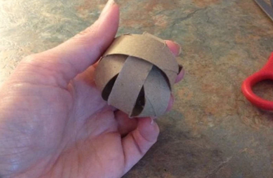 Cat Toy - Toilet Paper Roll