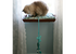 Window Perch - Tray