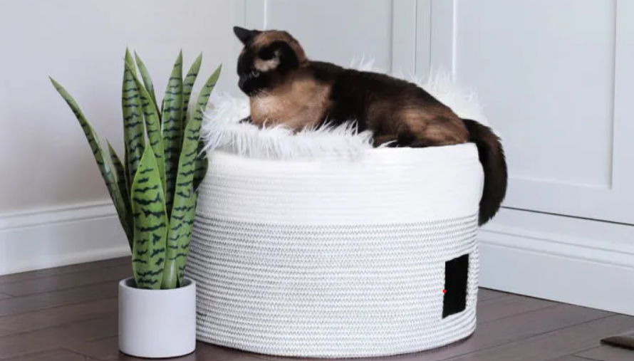 Cat Bed - Basket
