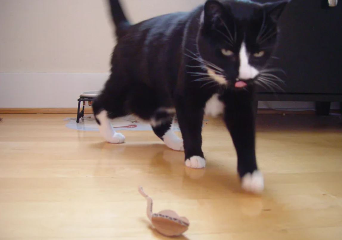 Mouse Cat Toy - Cardboard