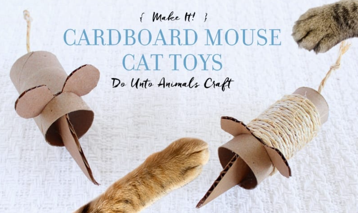 Mouse Cat Toy - Toilet Paper Roll