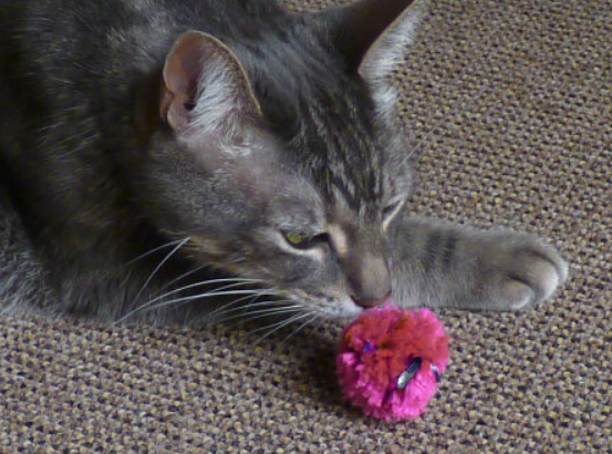 Crinkle Ball Cat Toy - Chocolate Wrapper