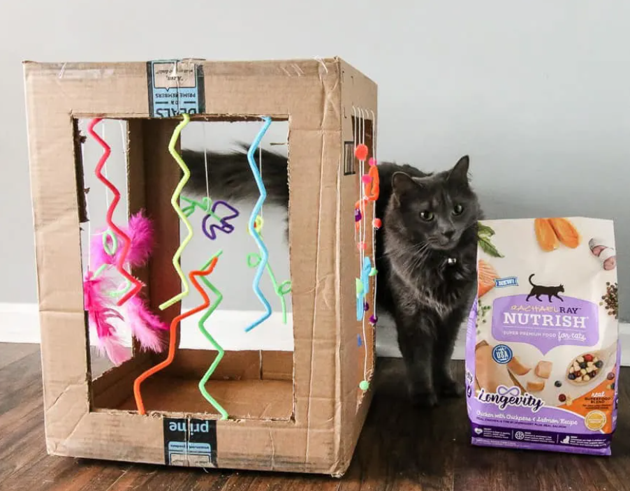Cat Play Box - Cardboard