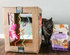 Cat Play Box - Cardboard