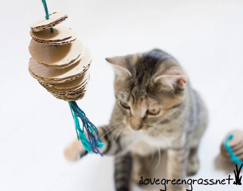 Cat Toy - Cardboard