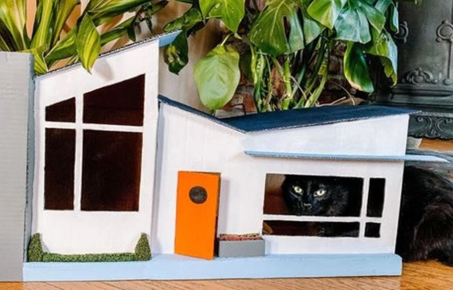 Cat House - Cardboard