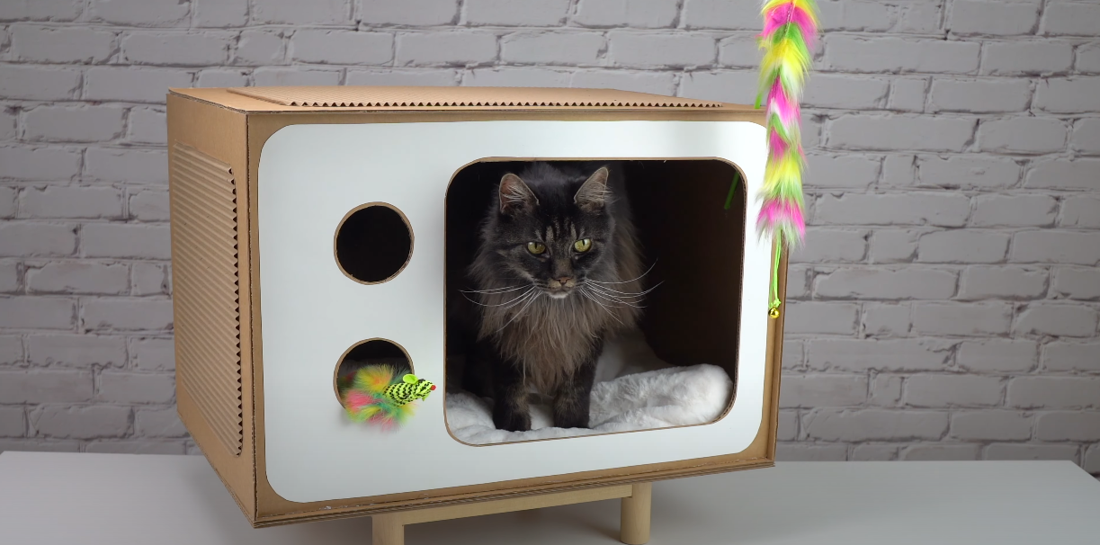 Cat House - Cardboard