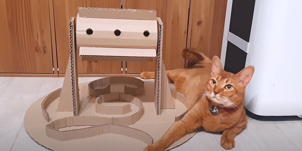 Cat Feeder - Cardboard