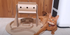 Cat Feeder - Cardboard