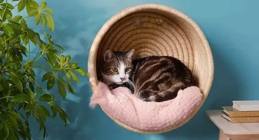 Cat Basket - Basket