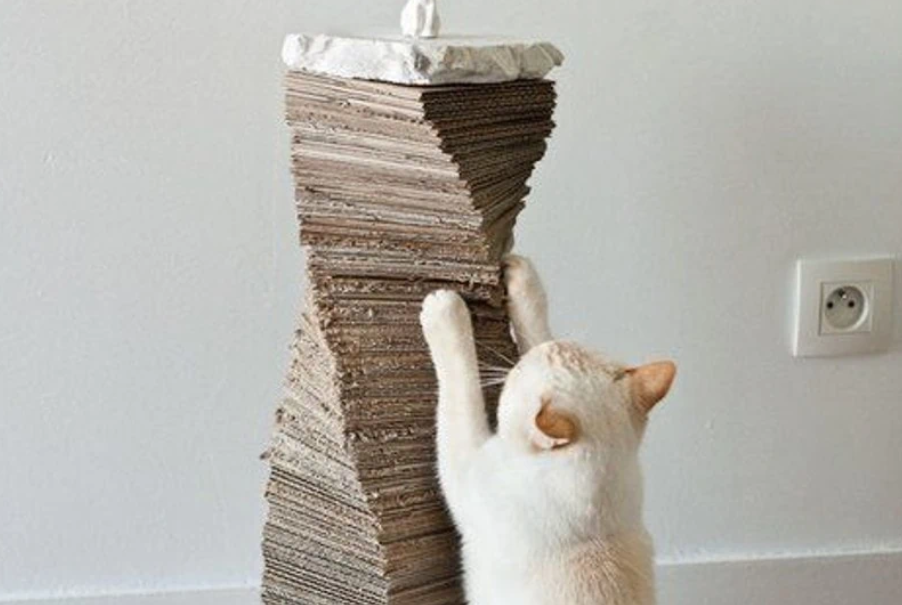 Cat Scratcher - Cardboard