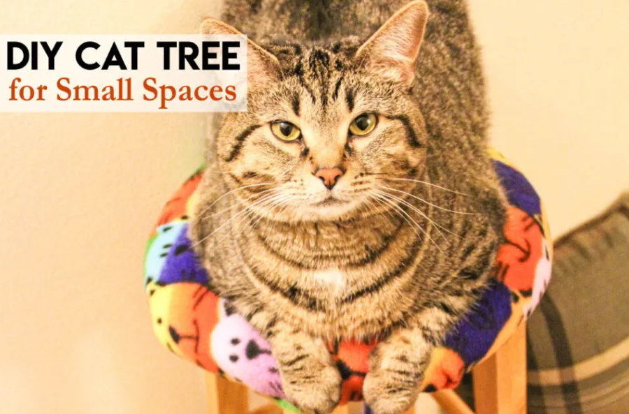 Cat Tree - Stool