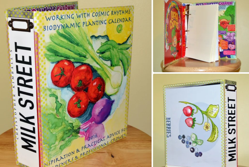 Binder - Cereal Box