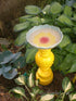 Bird Bath - Vase